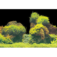 Deco Poster/Background E